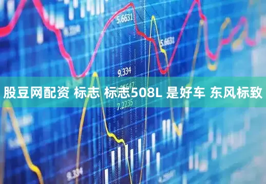 股豆网配资 标志 标志508L 是好车 东风标致